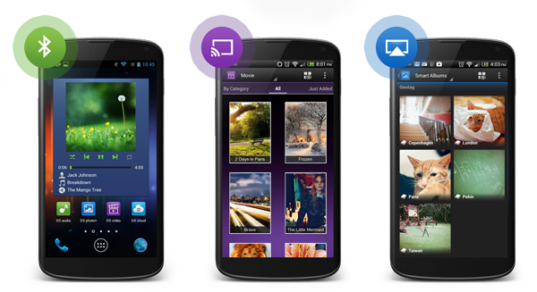 DS audio, DS video & DS photo+